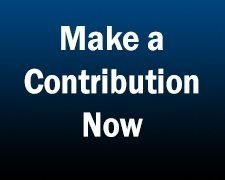 Make a contribution button