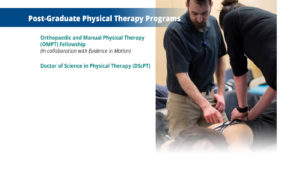 Go to the physical therapy webpage