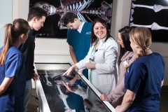 Technology-Anatomage Table