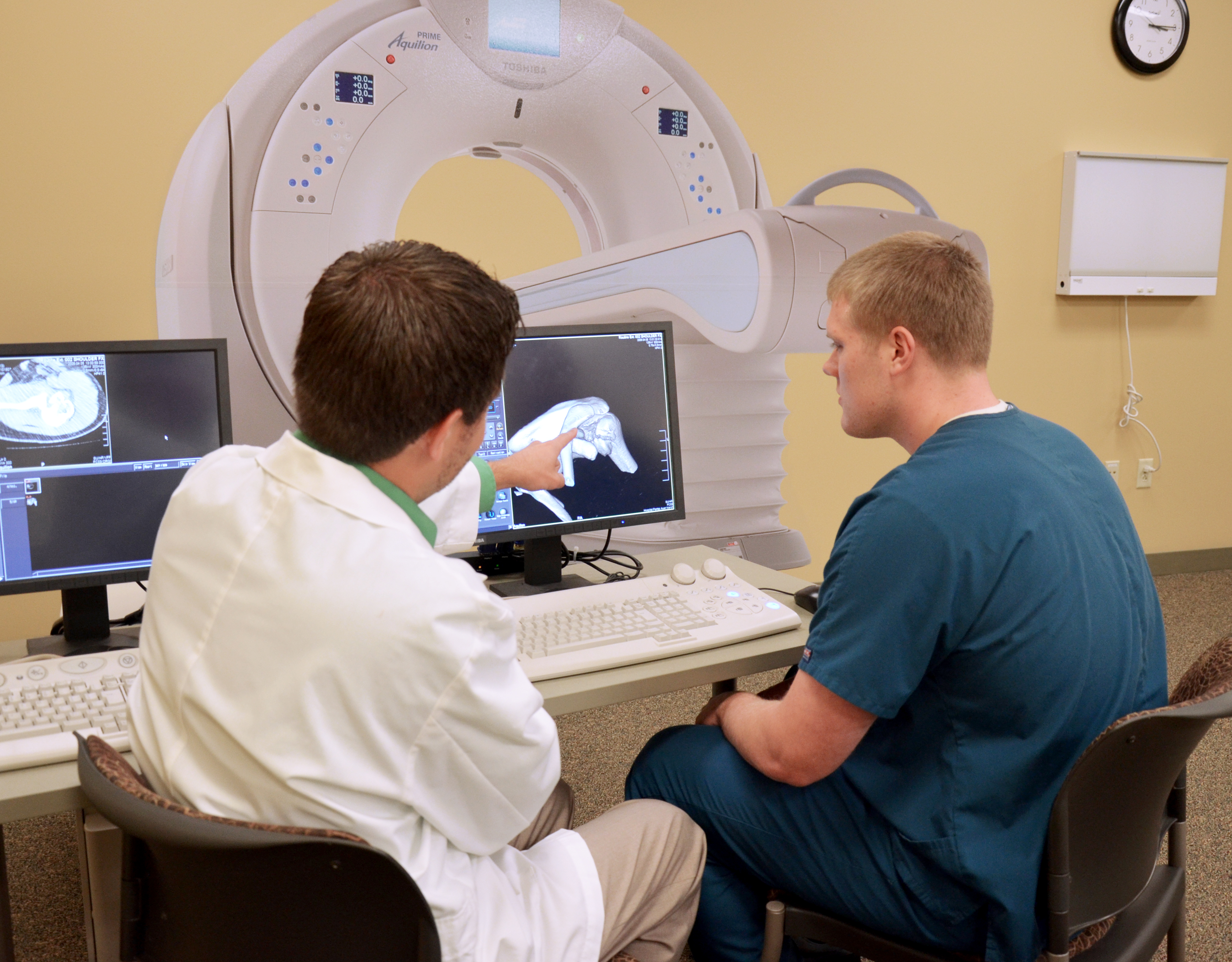 Faculty teaching medical imaging student