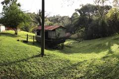 teak farm 3 teak farm 3