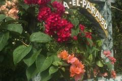 waterfall el paraiso